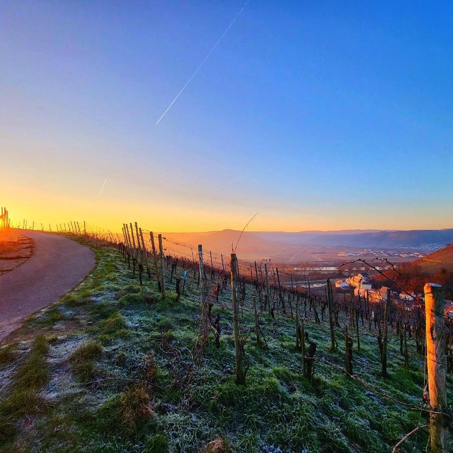 Ferienwohnung An Der Mosel Konz Buitenkant foto